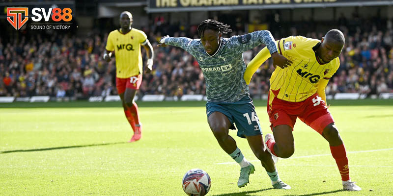 Nhận định bóng đá ngày 8/2:Sunderland vs Watford