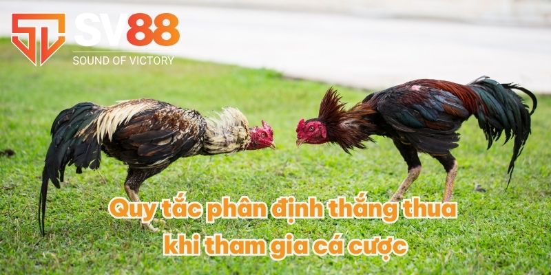 Quy tắc phân định thắng thua khi tham gia cá cược