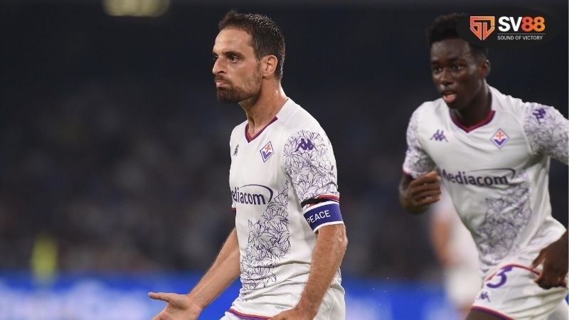 Thông tin lực lượng Newcastle vs Wolves mới nhất